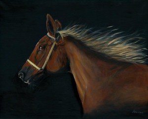 Freedom Chestnut horse
